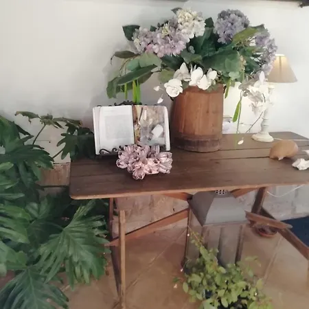 Hébergement de vacances Stella *