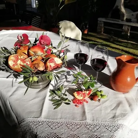 Stella * Пула